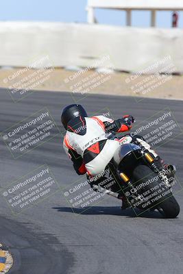 media/Feb-04-2023-SoCal Trackdays (Sat) [[8a776bf2c3]]/Turn 10 Backside (1010am)/